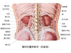 男人补肾7大误区 当心