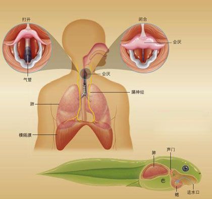 点击图片进入下一页
